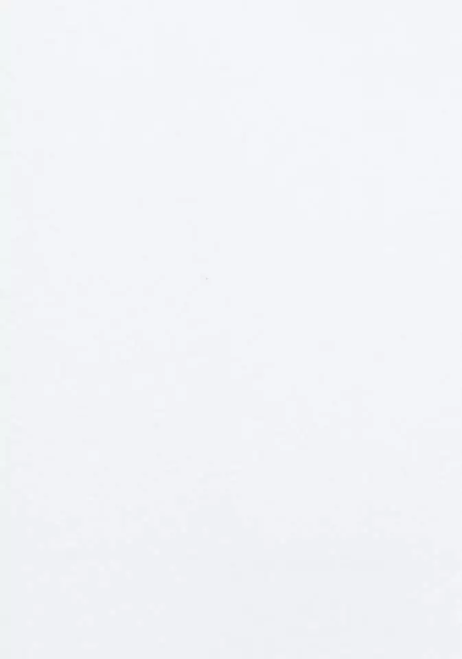 KangaROOS T-Shirt (2er-Pack) mit kleinem Logodruck Weiß, Petrol | weiß 7 KangaROOS T-Shirt (2er-Pack) mit kleinem Logodruck Weiß, Petrol | weiß – Bild 7